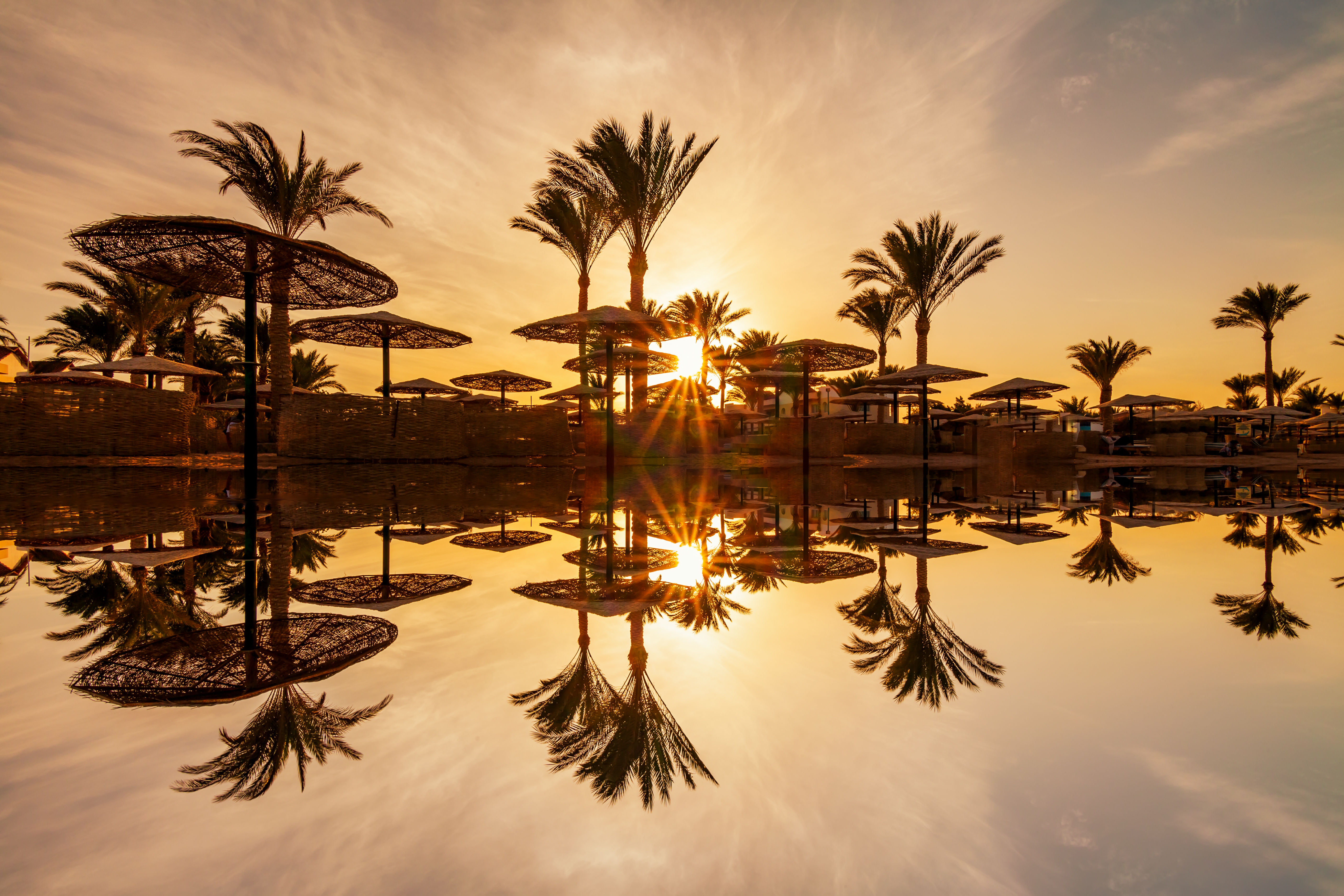 Sunset through palm trees over the Red Sea in Hurghada