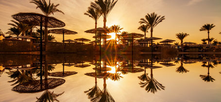 Sunset through palm trees over the Red Sea in Hurghada