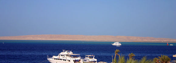 White tour boats moored in Red Sea harbour in Egypt with blue sea and palm trees.