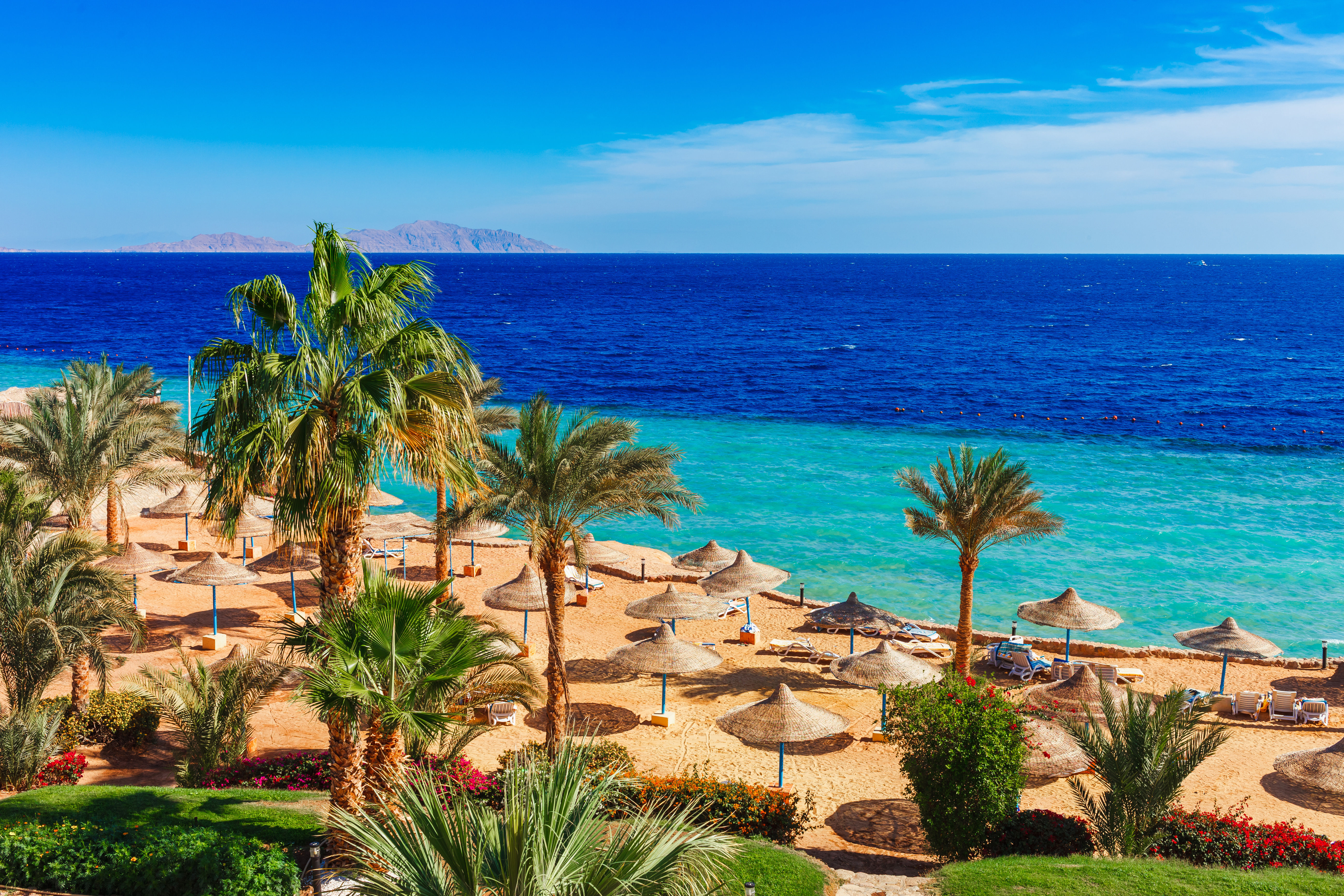 Beach umbrellas at Sharm el Sheikh resort next to tropical Red Sea and palm trees.