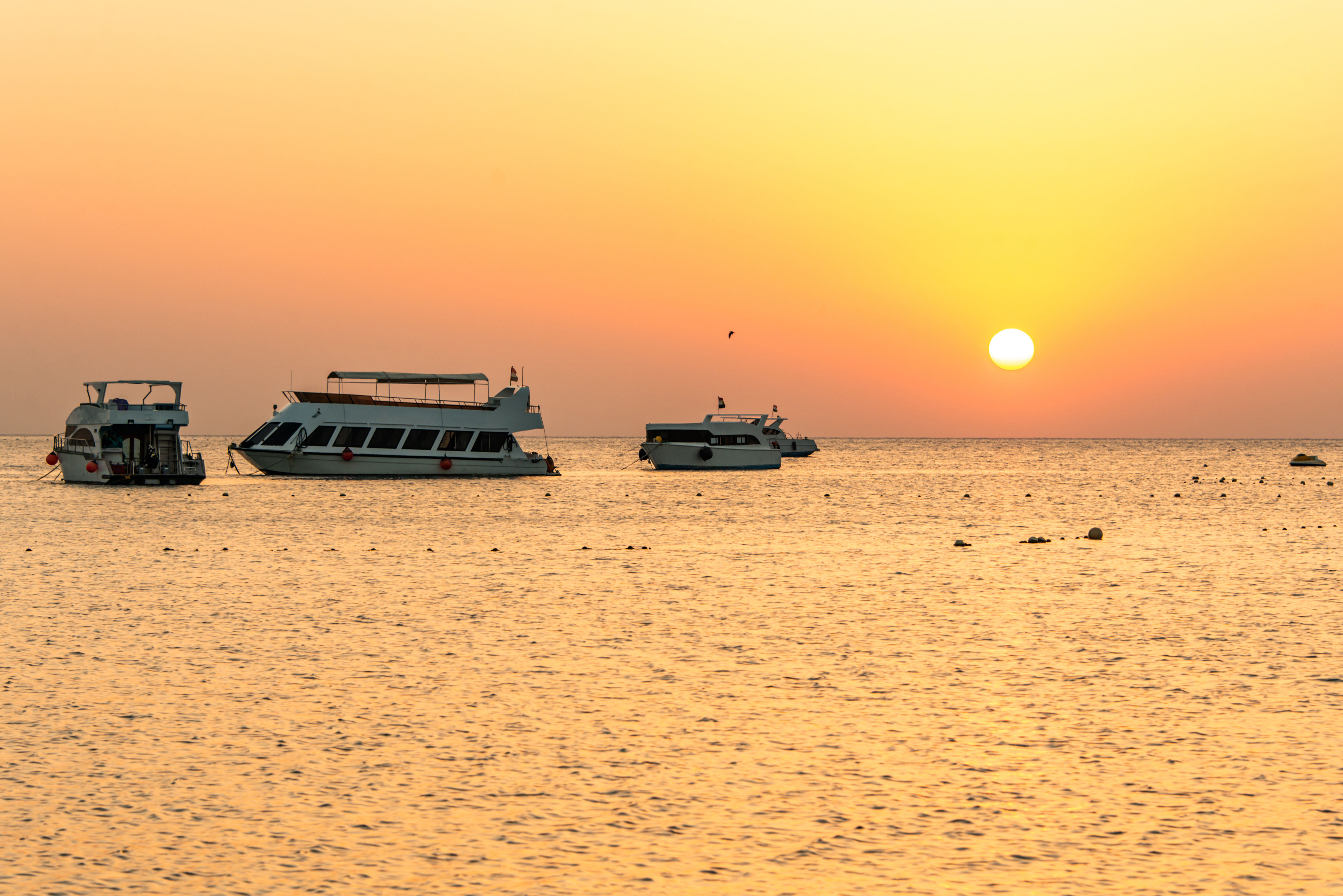 Boats on the red sea at a golden sunset in Makadi Bay Egypt.
