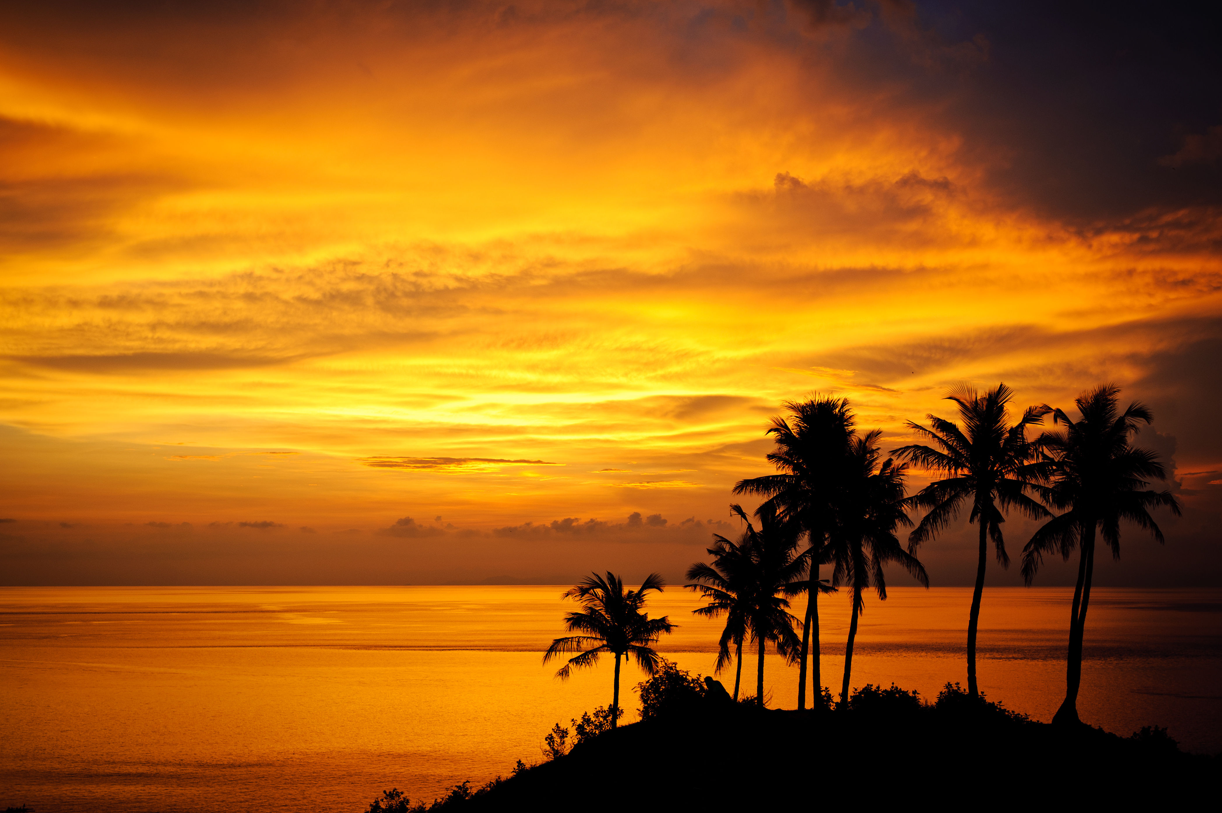 Beautiful golden sunset over palm tree lined bay at Seminyak, Bali.