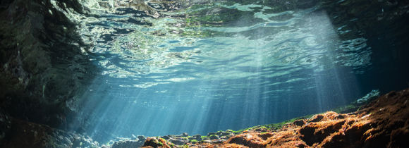 Underwater view of surface with light beams through the water in North American cenote.