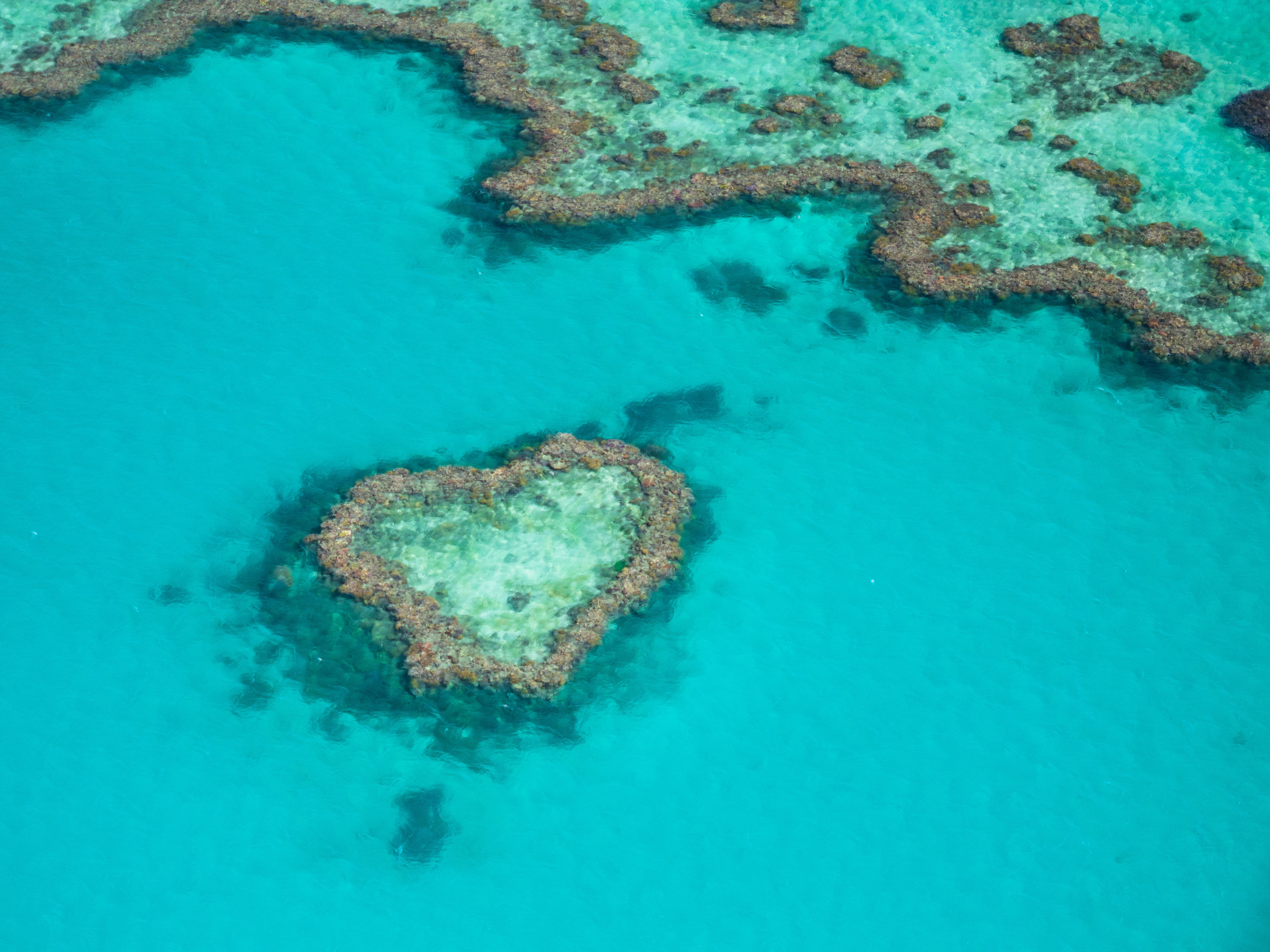 Aerial view of Heart Reef surrounded by crystal clear turquoise waters in the Great Barrier Reef in Australia.