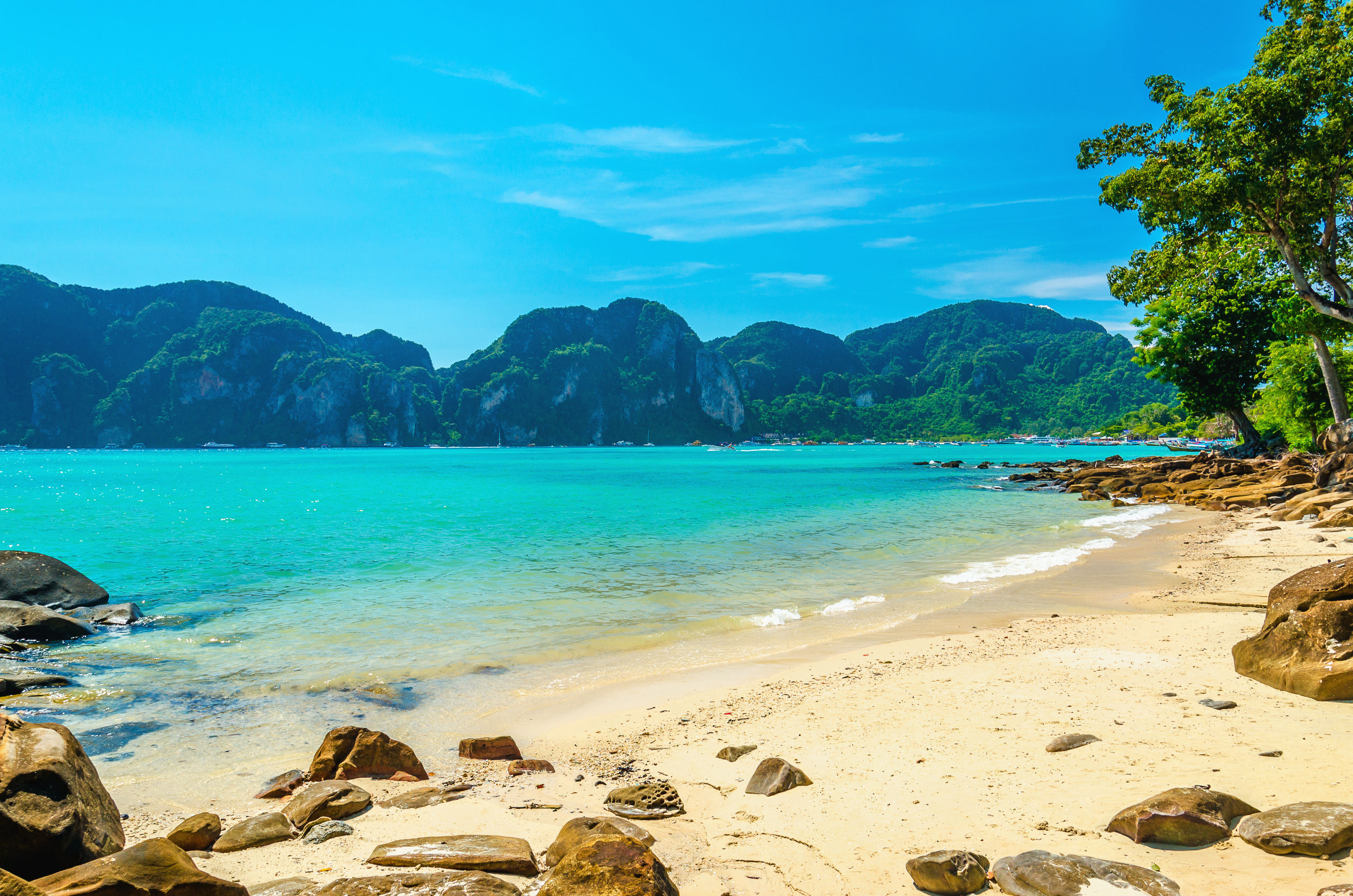 Sandy beach with trees, clear blue waters and green hills in the background.