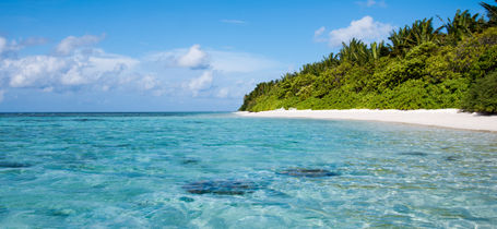 Tropical white sand beach with clear blue water and palm trees in Vaavu Atoll, Maldives.