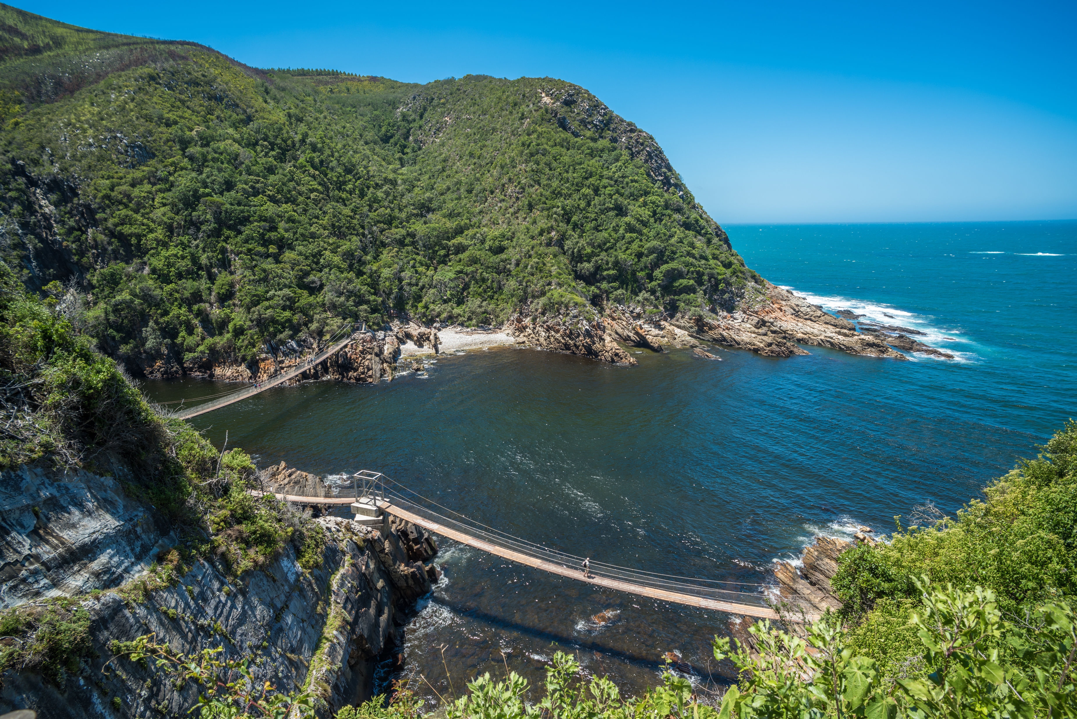 Storms River Suspension Bridge, Eastern Cape, Tsitsikamma National Park, South Africa