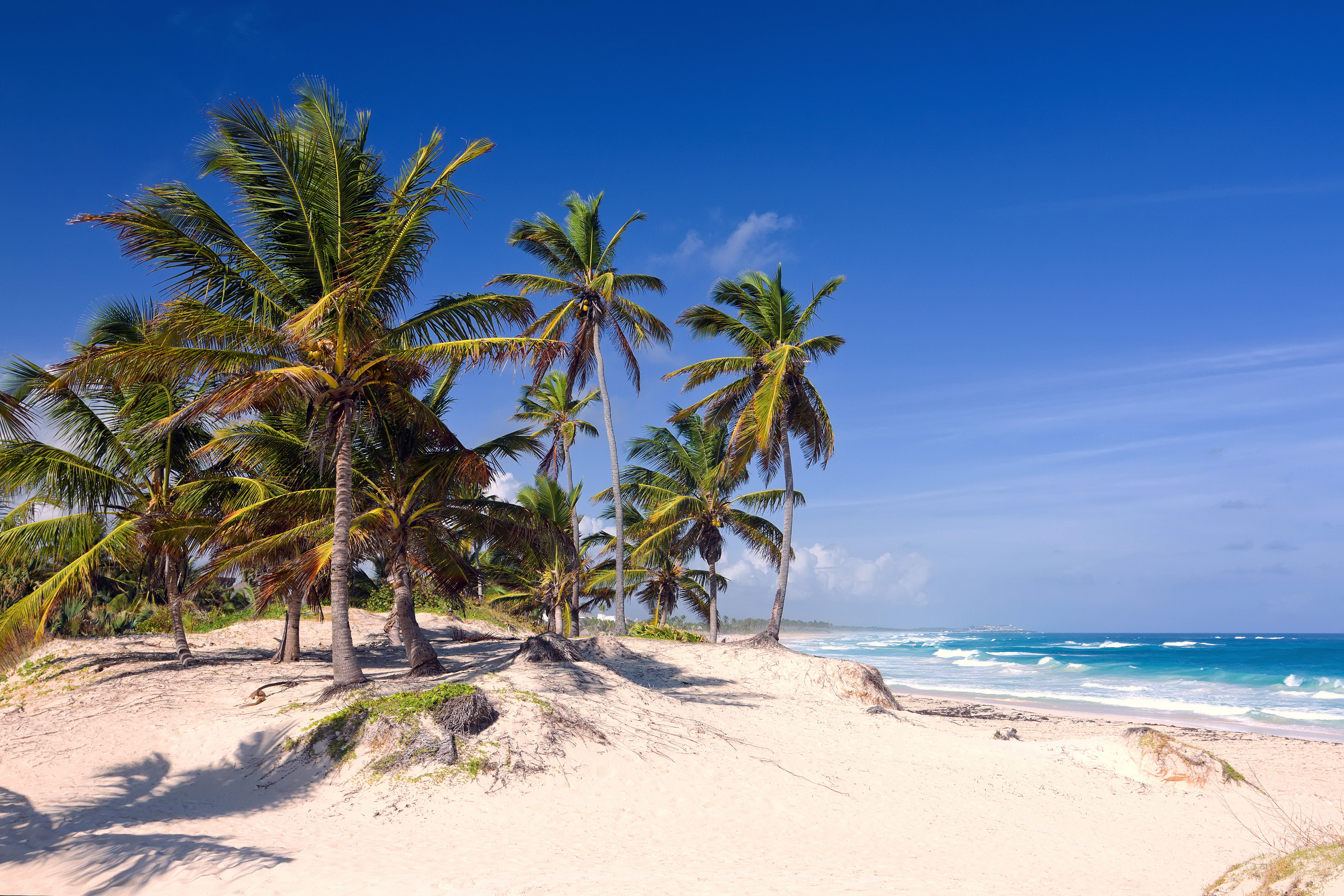 Tropical beach in Bavaro, Punta Cana, Dominican Republic