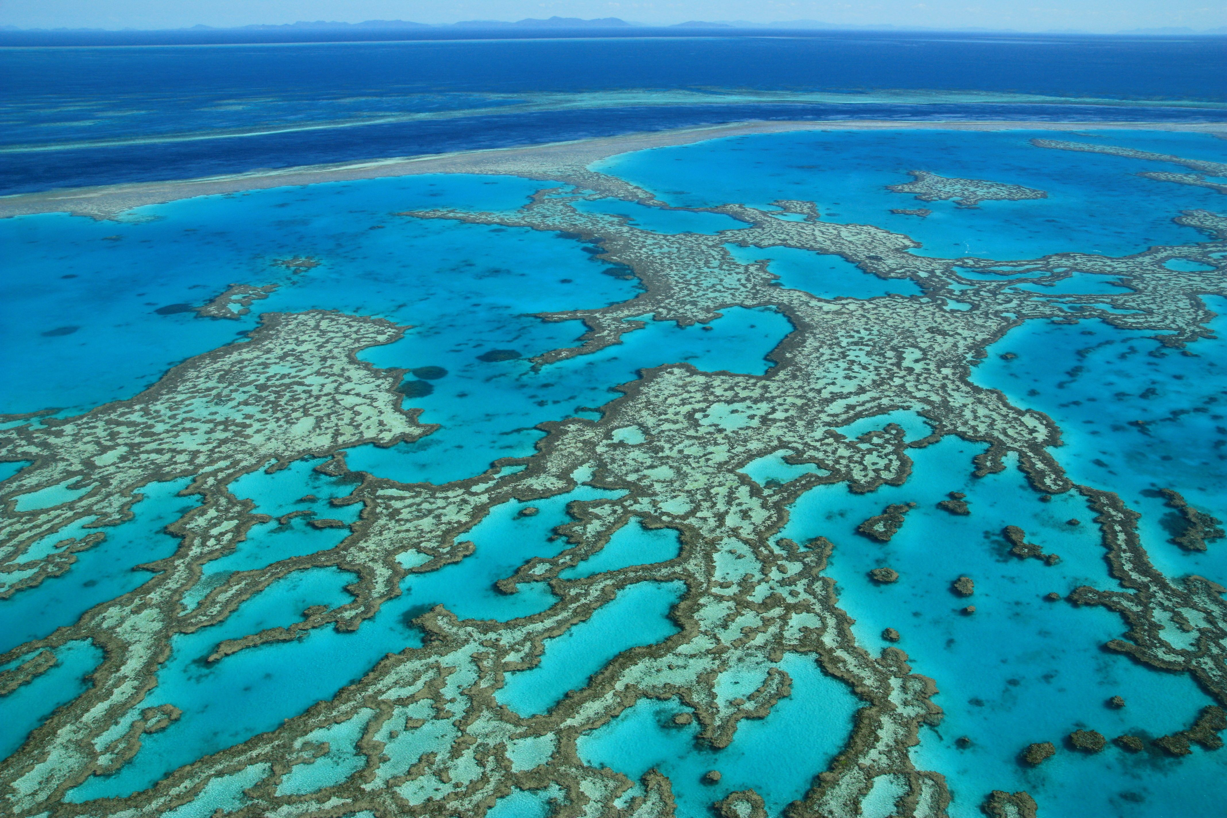 The Great Barrier Reef, accessible from Cairns Australia.