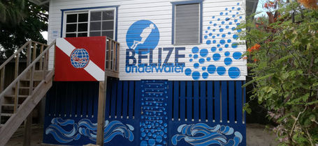 Belize Underwater Brisa Oceano