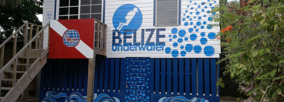 Belize Underwater Brisa Oceano
