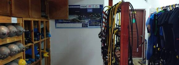Dolin Dive Club Med Punta Cana