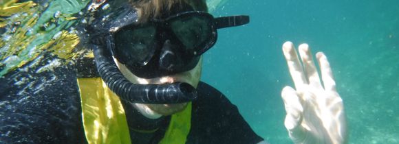 Wet Set Diving and snorkeling adventures