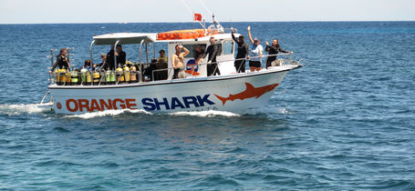 Orangeshark diving centre 